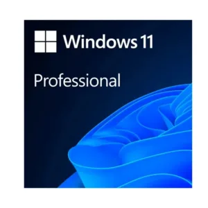 Windows 11 Pro